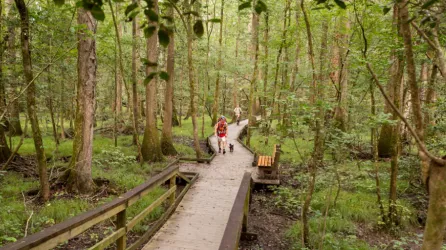 Congaree National Park