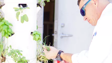 Chef Tommy cutting herbs