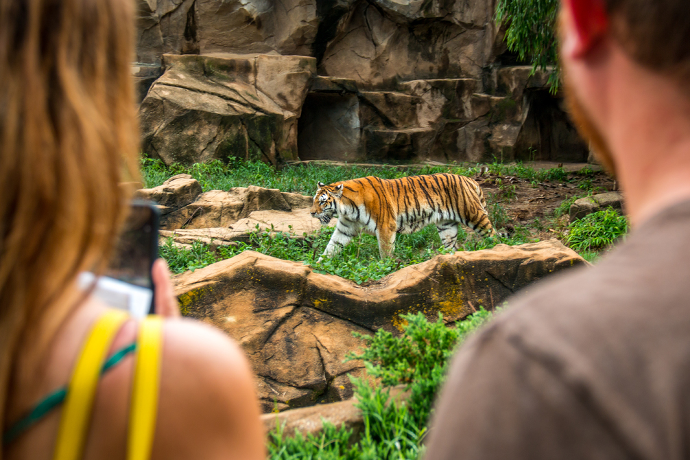 Riverbanks Zoo