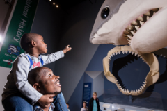 Father and son at South Carolina State Museum